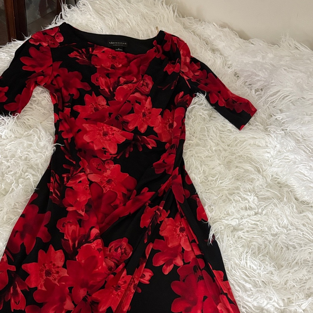 Connected Apparel Black and Red Floral Dress
